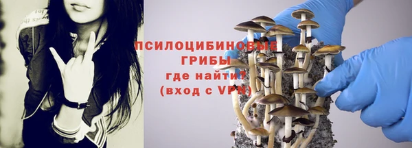 Альфа ПВП Надым