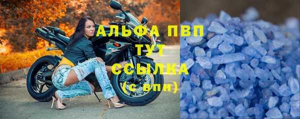 Альфа ПВП Надым
